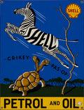SHELL KWAGGA & TORTOISE