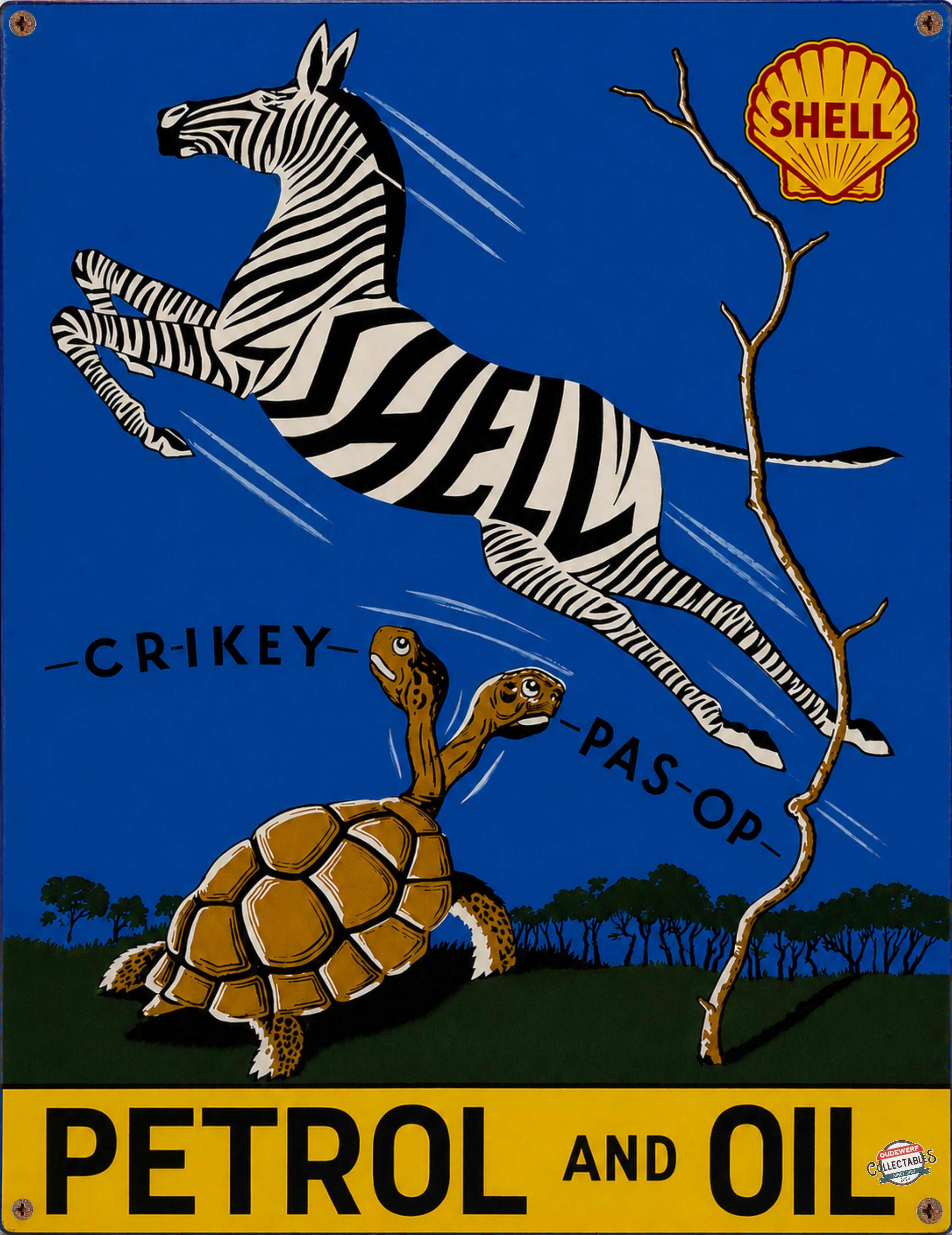 SHELL KWAGGA & TORTOISE