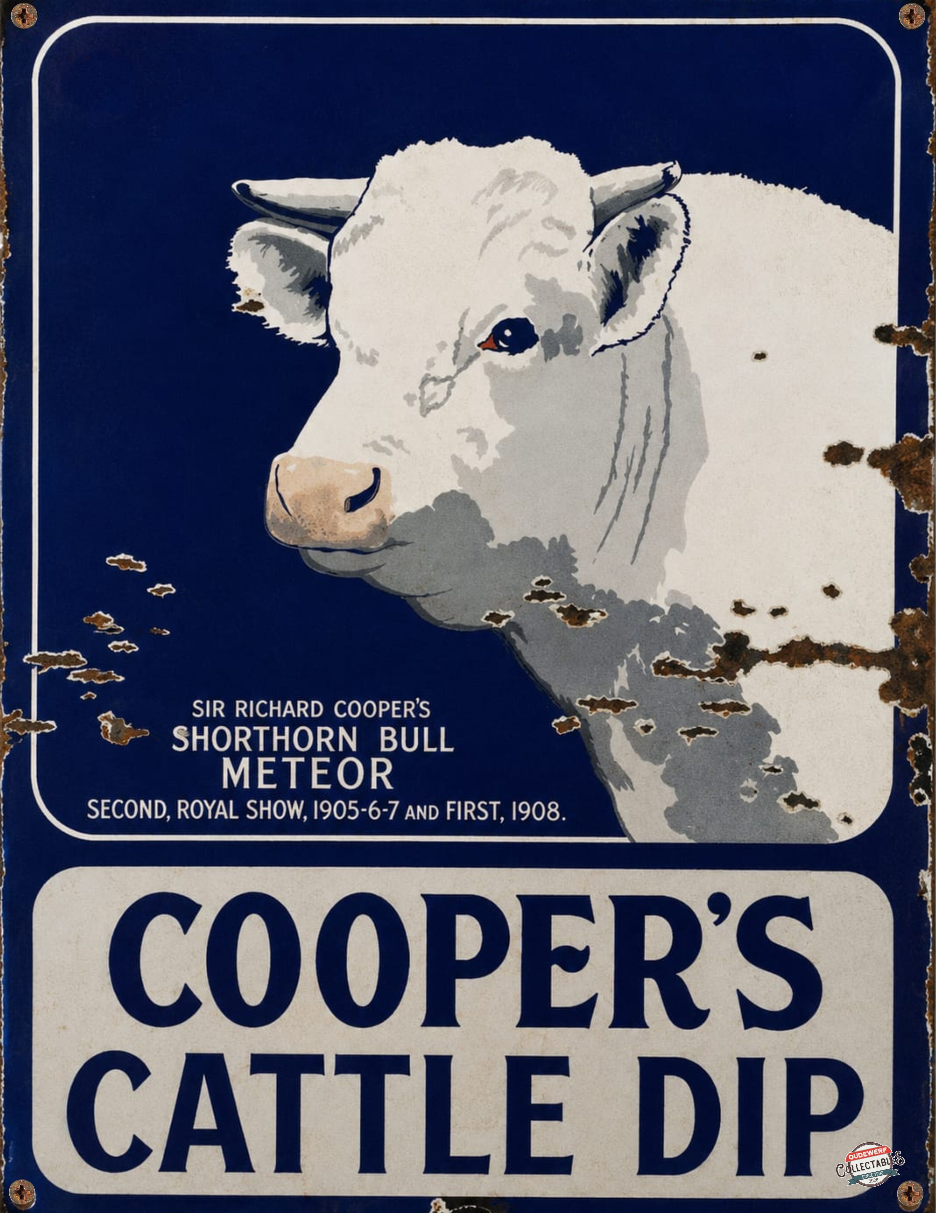 COOPER’S CATTLE DIP - SHORTHORN BULL