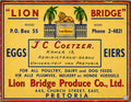 LION BRIDGE EGGS