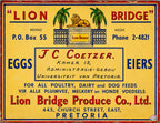 LION BRIDGE EGGS